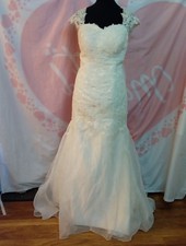 Wedding dress size 16 ivory
